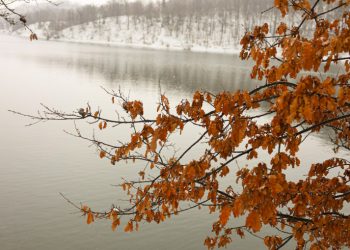 Порастао ниво воде у Борском језеру